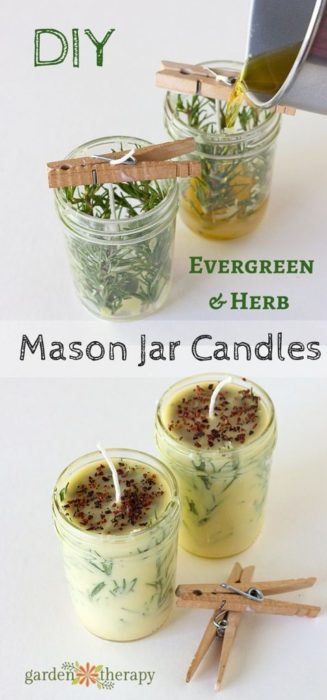 diy-evergreen-and-herb-candles