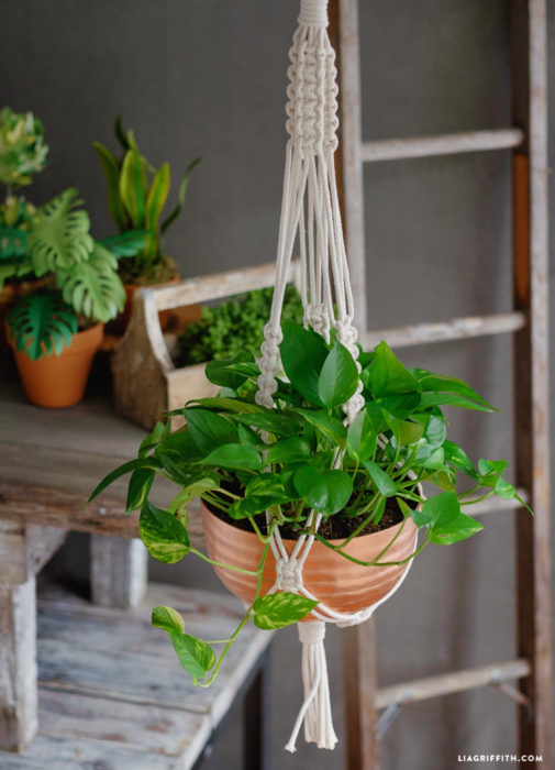 easy-macrame-plant-holder