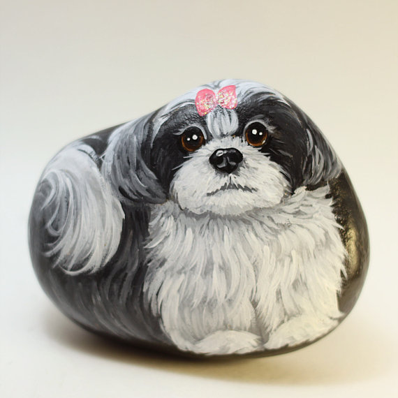 shih-tzu-rock