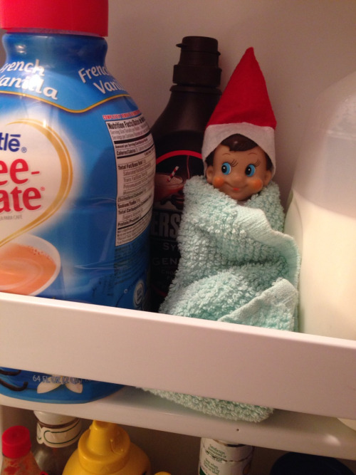 staying-toasty-in-the-fridge
