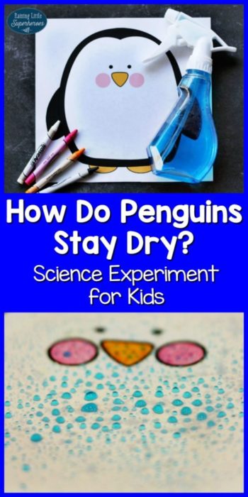 how-do-penguins-stay-dry