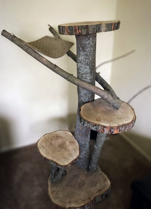 tree stump cat scratcher