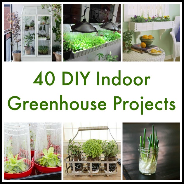 40 Diy Indoor In House Greenhouse Projects