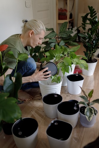 Man with light hair repotting plants 