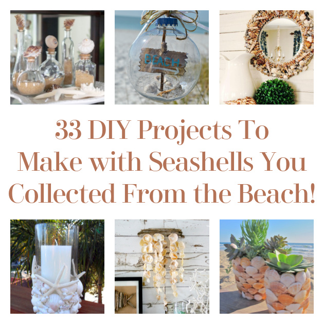 33 DIY Projects To Make with Seashells You Collected From the Beach!