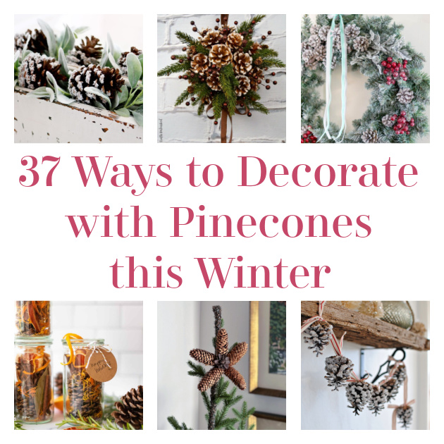 How to Make Beautifully Bleached Pinecones - Sand and Sisal